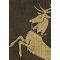 Game of Thrones Art Sleeves: House Baratheon Thumb Nail