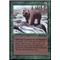Grizzly Bears Thumb Nail