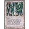 Wall of Swords Thumb Nail