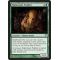 Nightshade Peddler Thumb Nail