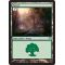 Forest A Thumb Nail