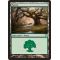 Forest C Thumb Nail