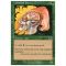 Llanowar Elves Thumb Nail