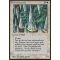 Wall of Swords Thumb Nail