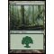 Forest A Thumb Nail