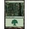 Forest C Thumb Nail