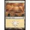 Plains B Thumb Nail