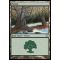 Forest A Thumb Nail