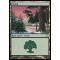 Forest C Thumb Nail