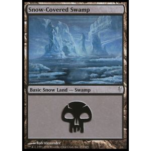 Snow-Covered Swamp