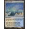 Boreal Shelf Thumb Nail