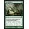 Clinging Mists Thumb Nail