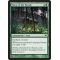 Favor of the Woods Thumb Nail