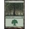 Forest C Thumb Nail