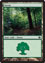 Forest C Thumb Nail
