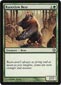 Runeclaw Bear Thumb Nail