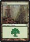 Forest A Thumb Nail