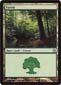 Forest C Thumb Nail
