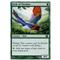 Birds of Paradise Thumb Nail