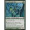 Wickerbough Elder Thumb Nail