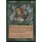 Wood Elves Thumb Nail