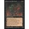 Order of the Ebon Hand Thumb Nail