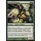 Eternal Witness Thumb Nail