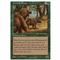 Grizzly Bears Thumb Nail