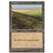 Plains B Thumb Nail