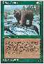 Grizzly Bears Thumb Nail