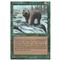 Grizzly Bears Thumb Nail