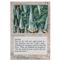 Wall of Swords Thumb Nail