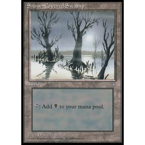 Snow-Covered Swamp