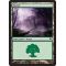 Forest A Thumb Nail