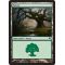 Forest C Thumb Nail