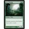Grave Bramble Thumb Nail