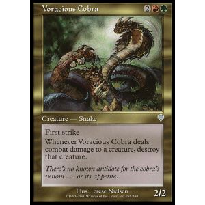Voracious Cobra