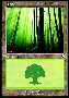 Forest A Thumb Nail