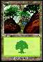Forest C Thumb Nail