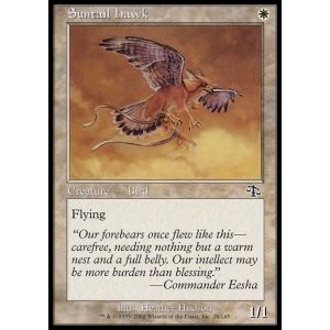 Suntail Hawk