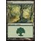 Forest A Thumb Nail