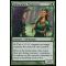 Immaculate Magistrate Thumb Nail