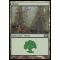 Forest A Thumb Nail