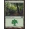 Forest C Thumb Nail