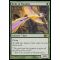 Birds of Paradise Thumb Nail