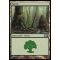 Forest A Thumb Nail