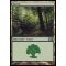 Forest C Thumb Nail