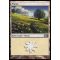 Plains B Thumb Nail