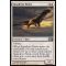 Squadron Hawk Thumb Nail