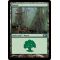 Forest A Thumb Nail